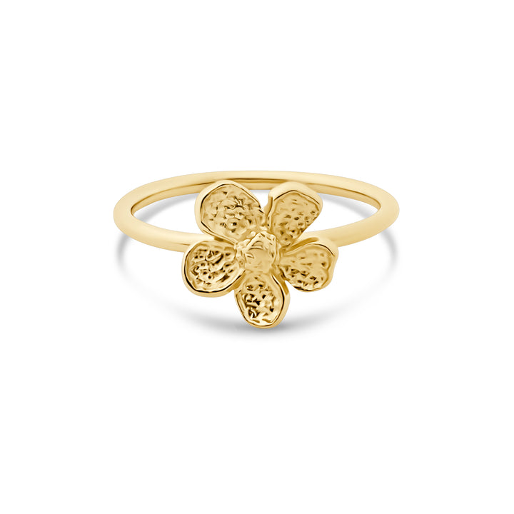 Ring "Amarea"